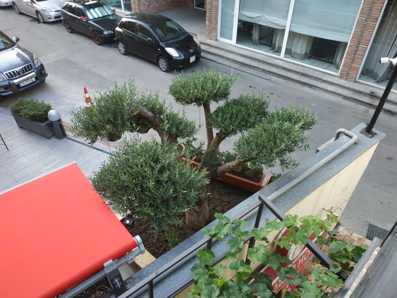 Hotel Lions Tbilisi Zewnętrze zdjęcie